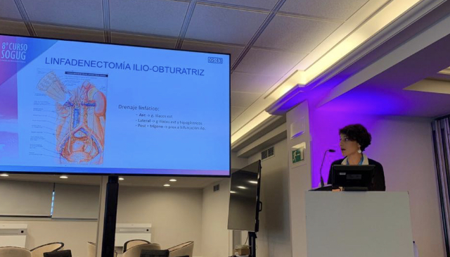 8º Curso SOGUG, Donostia