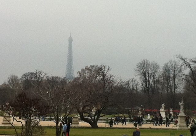 Urología Clínica Bilbao En El Hospital Tenon De Paris