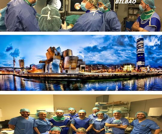 IX Workshop Nacional De Endourología