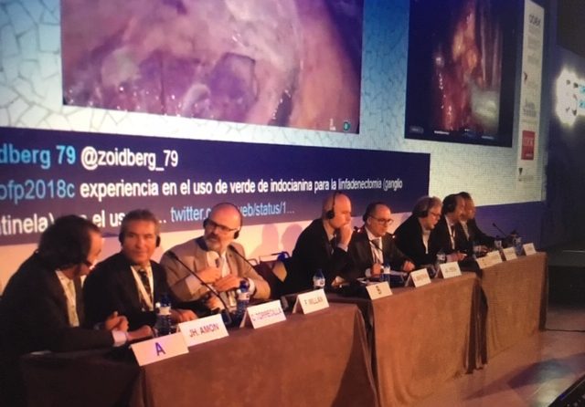 Curso Fundación Puigvert, Barcelona 2018